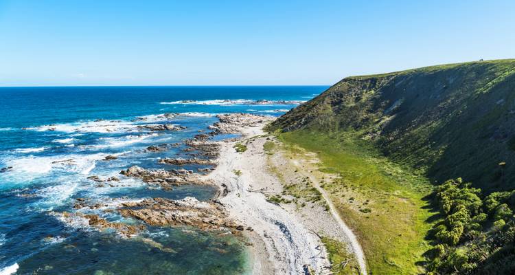 Rugged rocky shoreline and rolling surf along a remote green headland