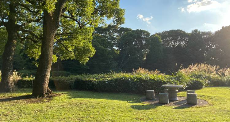 Sunny green park with trees, shrubs and a stone picnic table lit by low sun