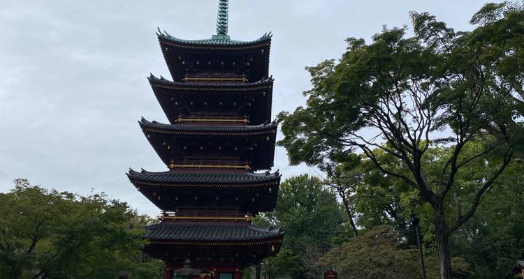 Tall five-story pagoda framed by trees on cloudy day