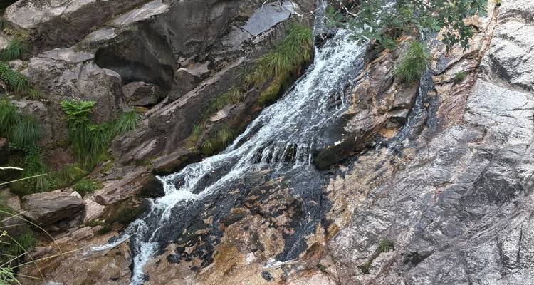 Petite cascade rocheuse s'écoulant sur du granit sombre dans une gorge boisée.