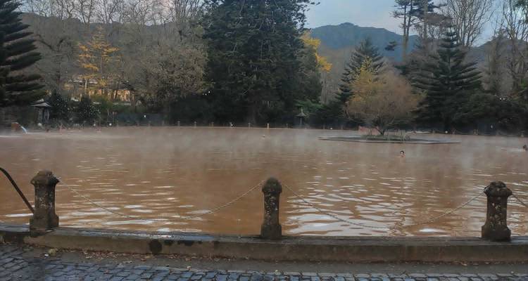 Steaming thermal pool with bathers and surrounding evergreen trees at dusk.