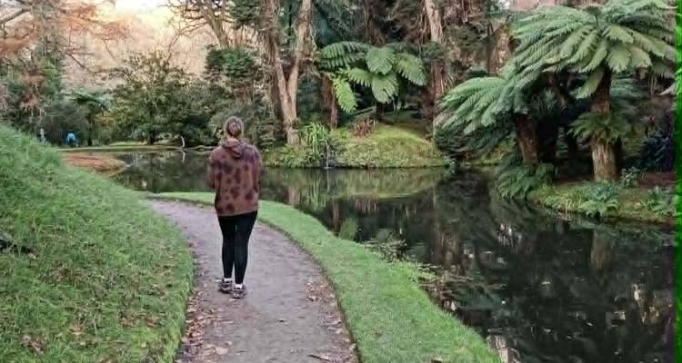 Woman walking along a tranquil garden path beside a reflective pond and lush ferns.