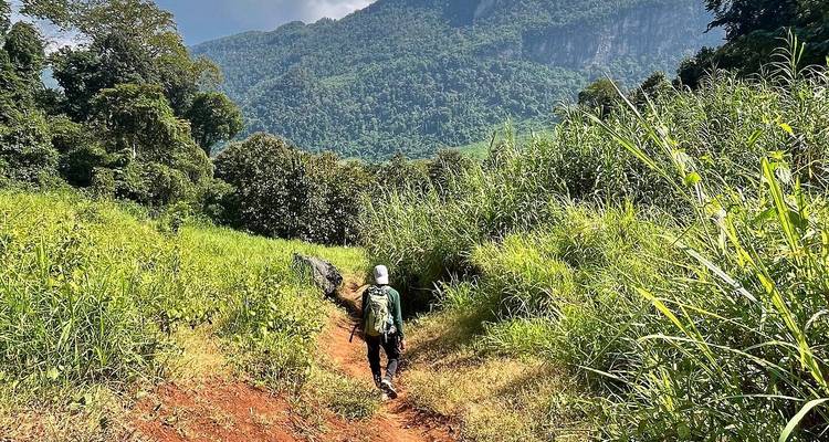 Backpacker walks along a red earth trail through tall grasses toward a jungle-clad mountain.