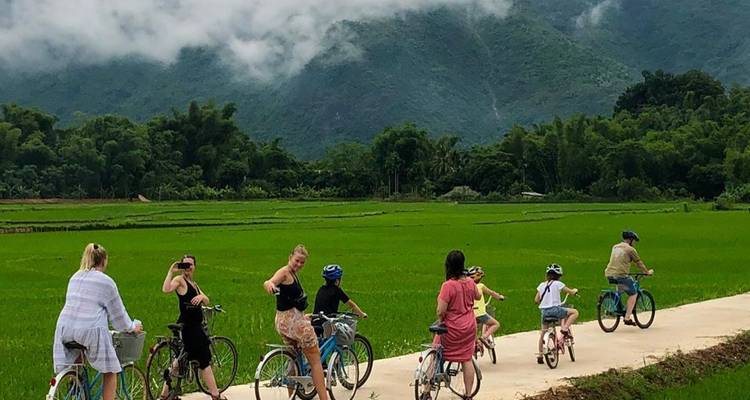 Group of cyclists ride past bright green rice paddies with misty mountains behind