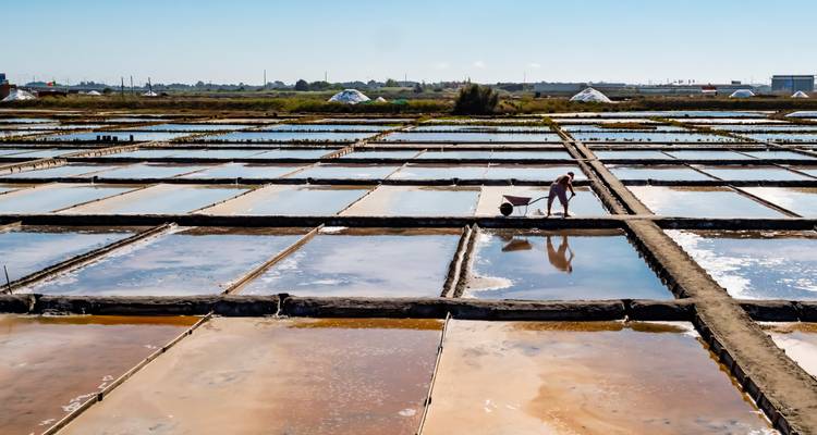 Les vastes marais salants reflètent le ciel tandis qu'un ouvrier solitaire récolte des cristaux le long de sentiers étroits.