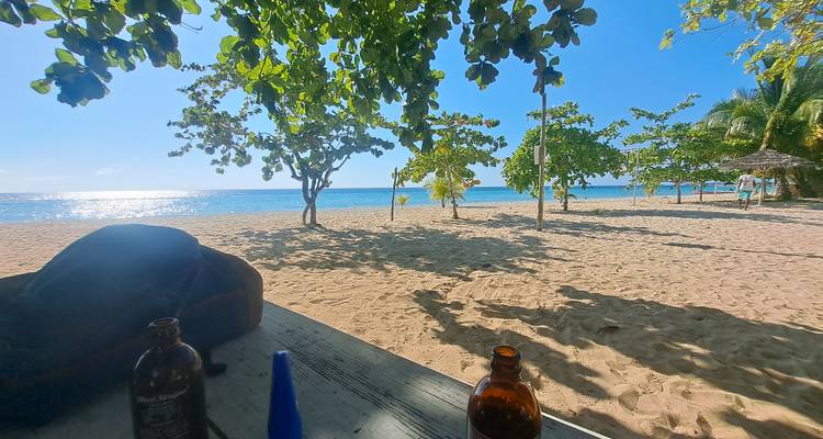 Table de pique-nique ombragée avec des boissons surplombant une plage tranquille bordée de palmiers et une mer scintillante à la lumière de fin d'après-midi.