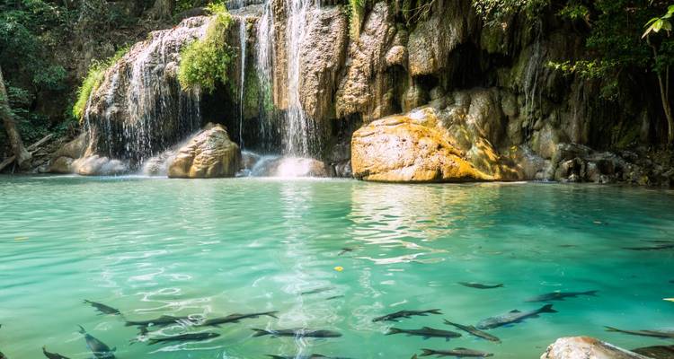 Turquoise pool and cascading tiers of Erawan Waterfall surrounded by greenery and swimming fish.