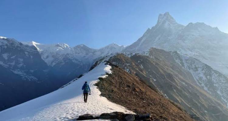 Un trekkeur solitaire marche le long d'une crête enneigée en direction du pic spectaculaire du Machhapuchhre sous un ciel bleu cristallin de l'Himalaya.