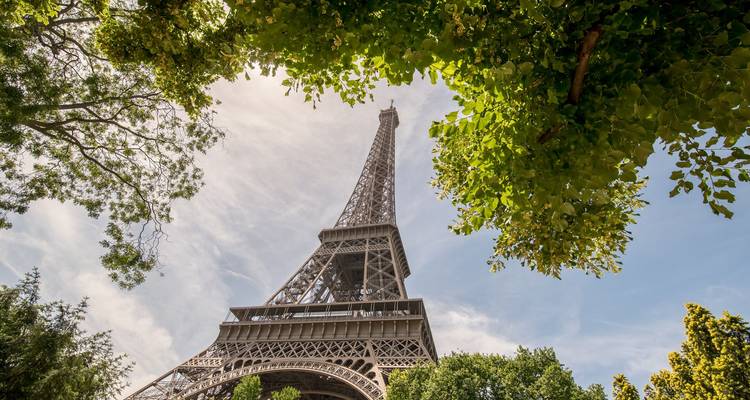 Vista dramática hacia arriba de la Torre Eiffel enmarcada por exuberante follaje verde y un cielo brillante.