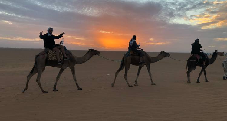 Silhouetted camel caravan with riders moving across the desert during a vivid sunset.