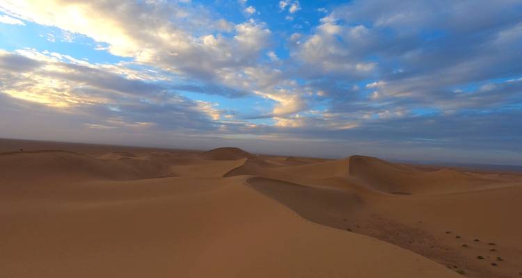 Rolling golden dunes beneath a dramatic blue-and-cloud sky stretching to the horizon.
