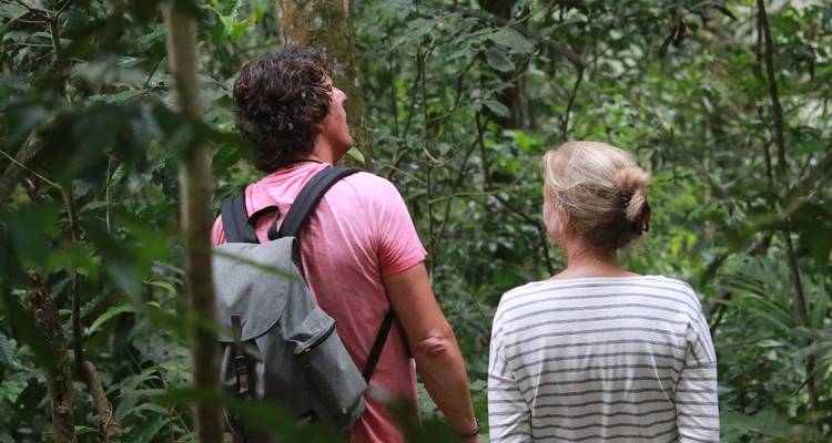 Two visitors pause to observe wildlife in lush green jungle surroundings