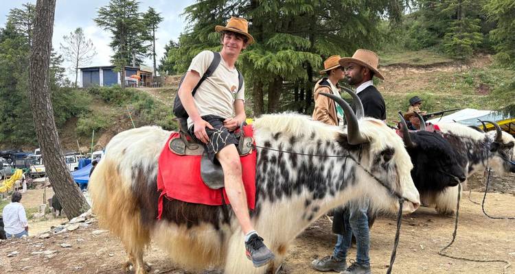 Traveller seated on a black-and-white yak while guides assist at a rural fairground in the mountains