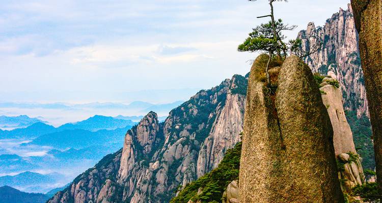 Gros plan d'une crête granitique spectaculaire de Huangshan avec un petit arbre s'accrochant à son sommet sur fond de collines bleues stratifiées.