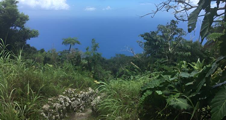 Repeat view of tropical hillside trail looking out to vast blue sea
