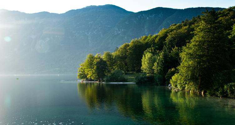 Zonnig schiereiland met bomen dat uitsteekt in het heldere water van het Bohinj-meer met bergen op de achtergrond.