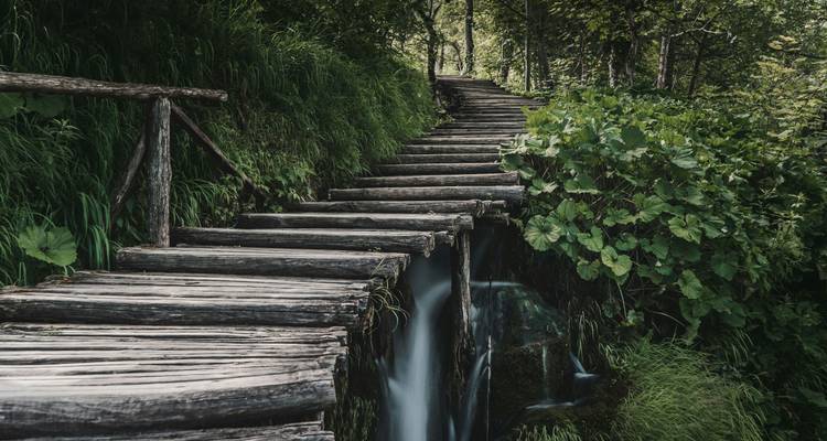 Rustieke houten boardwalk-trappen over een klein watervalletje in het weelderige bos, Plitvicemeren.