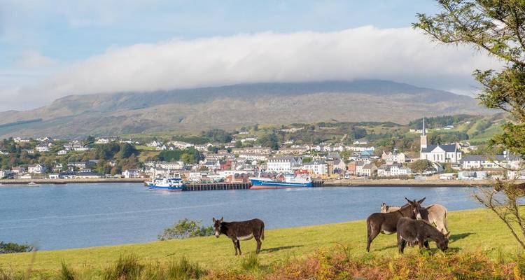 Scène pastorale avec des ânes qui paissent au-dessus de la ville portuaire de Killybegs et des collines lointaines.