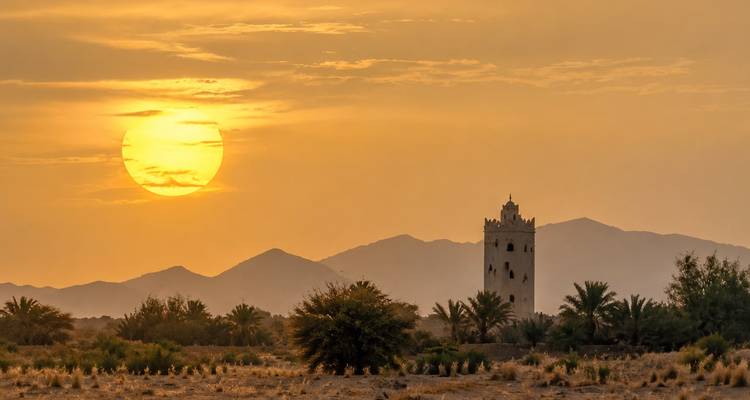 Golden sun setting behind palm trees, a lone tower and distant mountains in the desert