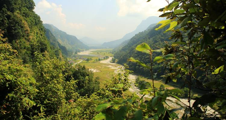 Grünes Himalaya-Tal mit gewundenem Fluss, gesehen durch belaubte Äste unter diffusem Morgenlicht.