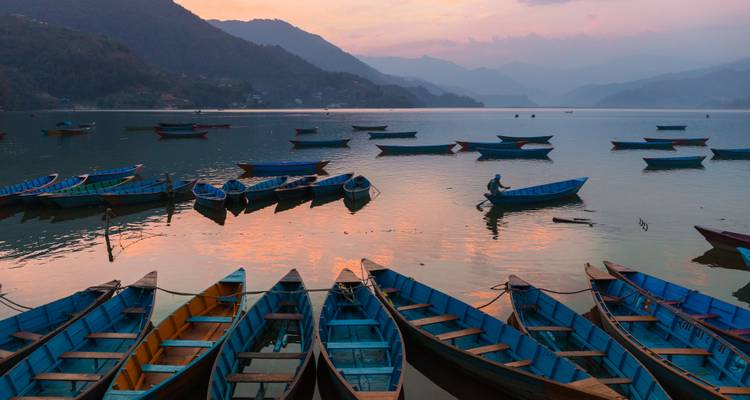 Des barques de bois colorées reposent sur le calme lac Phewa lors d'un coucher de soleil teinté de rose avec des montagnes brumeuses au loin et un rameur solitaire en silhouette.