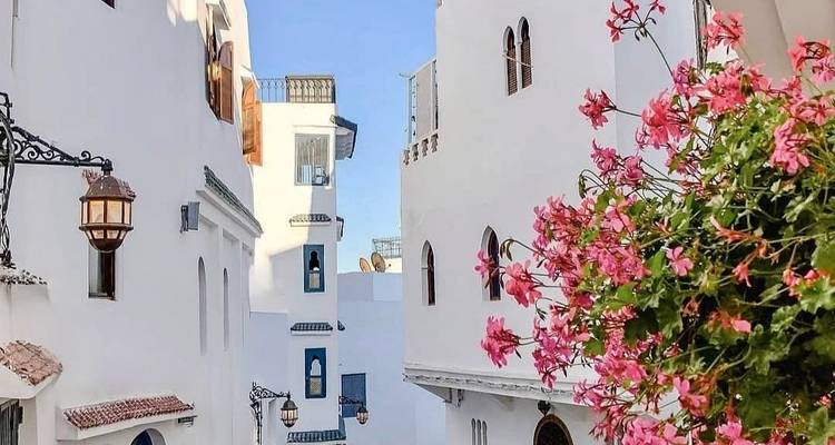Ruelle pittoresque et étroite aux maisons blanchies à la chaux, avec des lanternes ornées et des fleurs roses en fleur sur fond de ciel bleu.