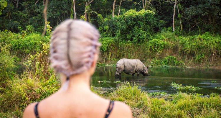 Un viajero observa a un rinoceronte de un cuerno bebiendo en un río de la selva rodeado de exuberante vegetación verde.