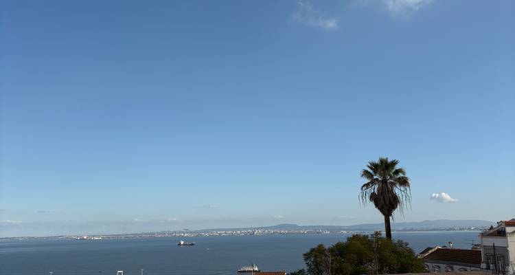 Vista amplia del estuario del Tajo con una palmera solitaria en primer plano y el skyline de la ciudad a lo lejos.
