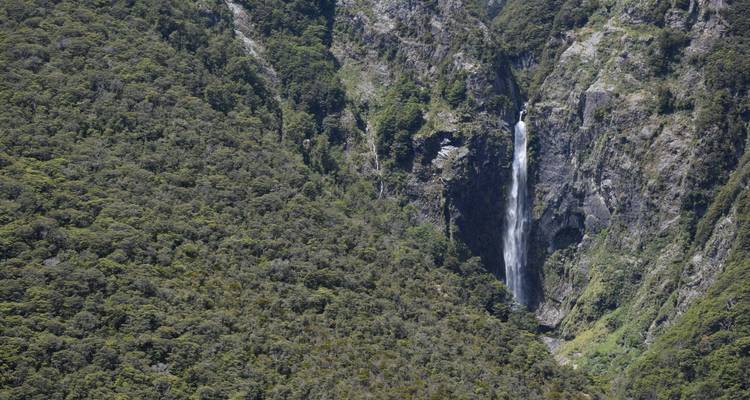 Une cascade haute et étroite se précipite le long d'une falaise forestière luxuriante et verdoyante.