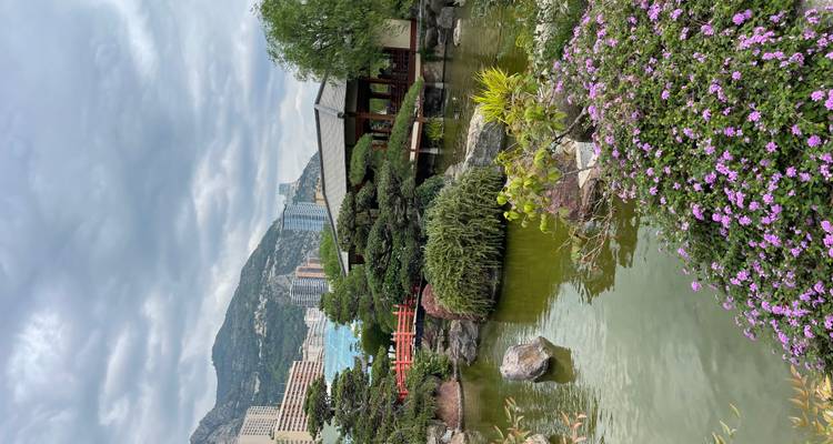 Pond, flowers and traditional pavilion in the Japanese Garden with Monaco high-rises and mountains behind.