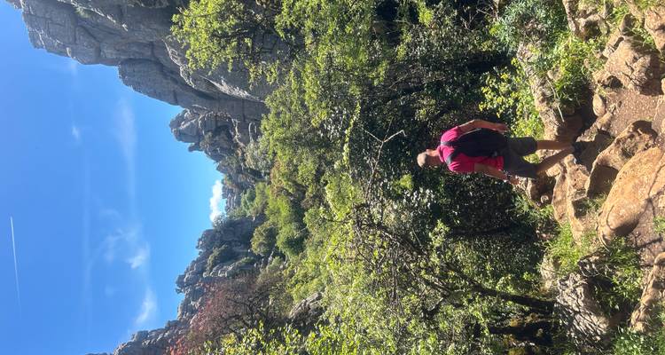 A hiker wearing a pink shirt descends a rocky path surrounded by lush shrubs and towering stone walls under a bright sky.