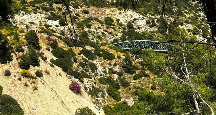 View through tree branches to a distant green metal bridge spanning a shrub-covered hillside.