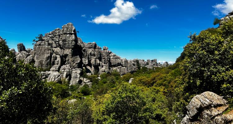 Striking grey limestone towers and boulders rise above mixed woodland beneath a single white cloud.