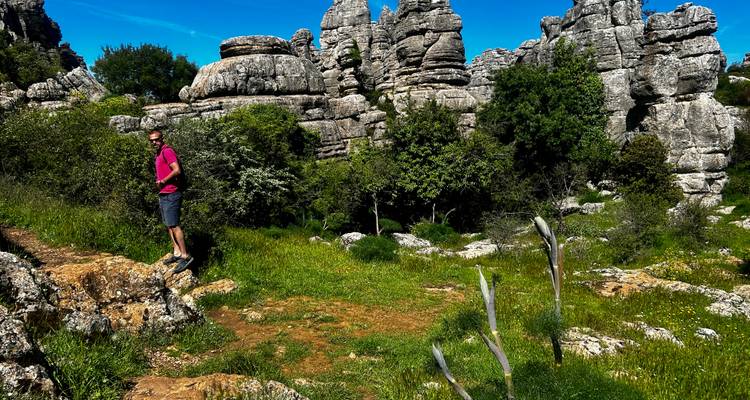 A traveler pauses on a rocky path amid surreal limestone formations and green grass under a vivid blue sky.