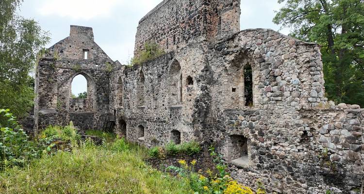 Overgrown stone remains of a medieval building with arched windows set in greenery.