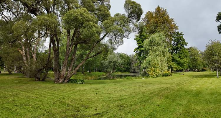 Open grassy park with mature trees and a small pond in the distance on a cloudy day.