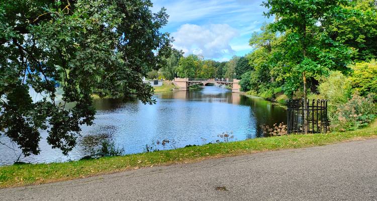 Serene lake with arched bridge and surrounding greenery on a bright day.