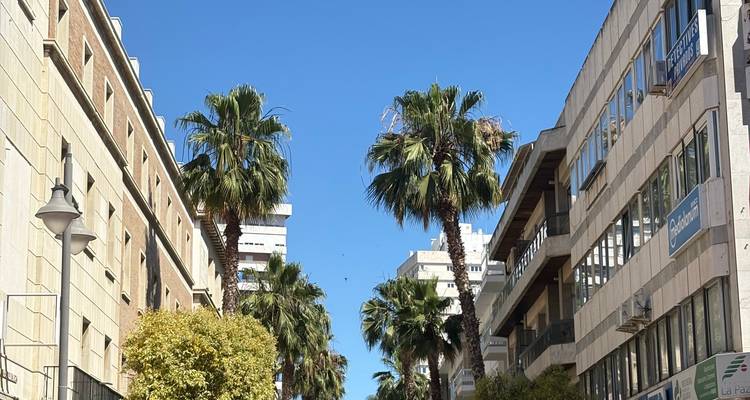 Rue urbaine bordée de palmiers et de bâtiments modernes sous un ciel bleu éclatant.