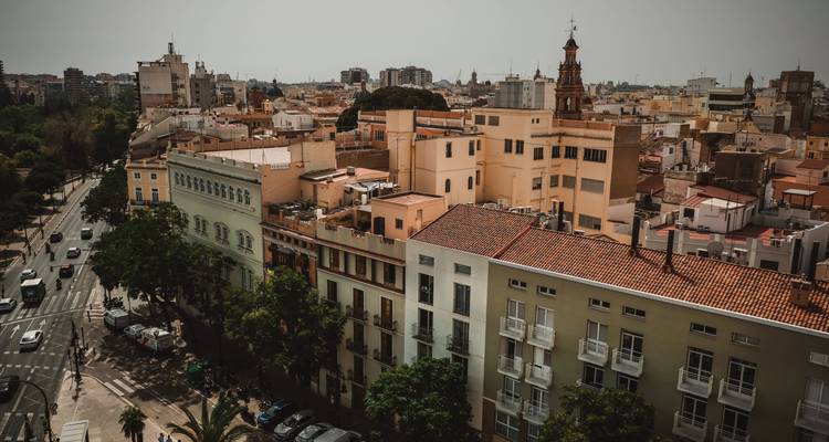 Paysage urbain de toits discrets avec un mélange de bâtiments historiques et modernes sous un ciel voilé.