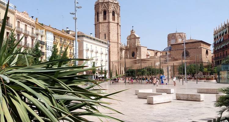 Place ensoleillée avec clocher de cathédrale, structures d'ombrage modernes et feuilles de plante épineuse au premier plan.