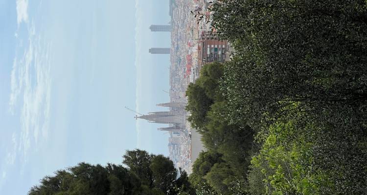 Vue panoramique lointaine de la ligne d'horizon de Barcelone avec la Sagrada Família se dressant au-dessus de la ville encadrée par des arbres