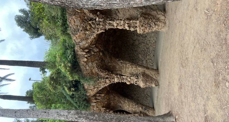 Colonnade en arc de pierre sculptée dans la roche au parc Güell entouré de verdure