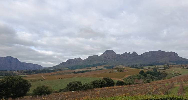 Patchwork of vineyards and rolling hills beneath a cloudy sky in the Cape Winelands.