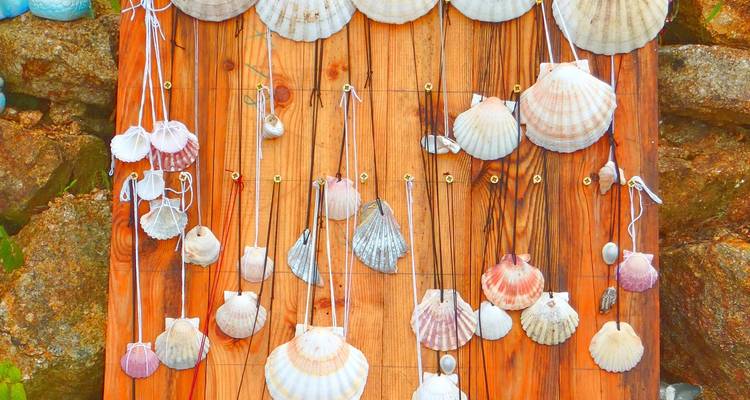 Des colliers de coquille Saint-Jacques colorés et des souvenirs suspendus sur une planche en bois le long du Chemin