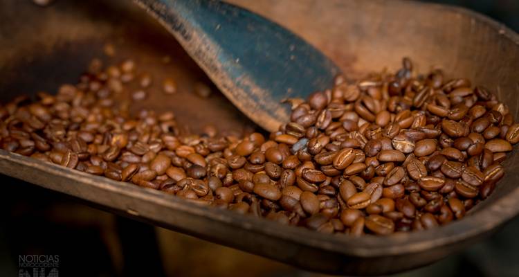 Roasted coffee beans in a wooden scoop with text watermark.