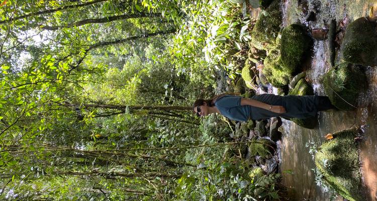 Woman standing in a shallow jungle stream surrounded by lush greenery and mossy rocks.