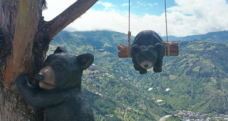 Carved bear statues on a tree and wooden swing overlooking a mountainous valley.