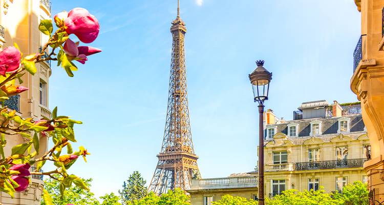 Eiffel Tower seen from a charming Parisian street framed by blooming flowers and classic architecture.