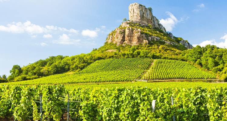 Rows of green vineyards climb the slopes towards the dramatic limestone Rocher de Solutré under blue sky.