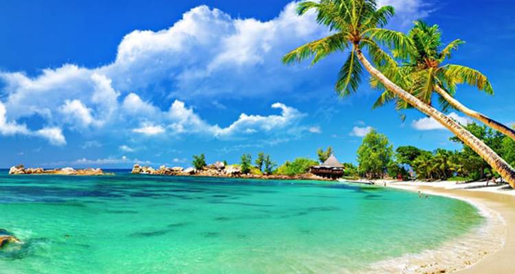 Idyllic white-sand beach with swaying palm trees and vibrant turquoise water under a blue sky